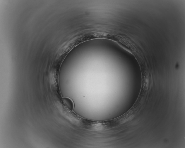 X0000116760616200912241144
