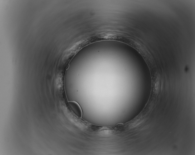 X0000116760620200912241144