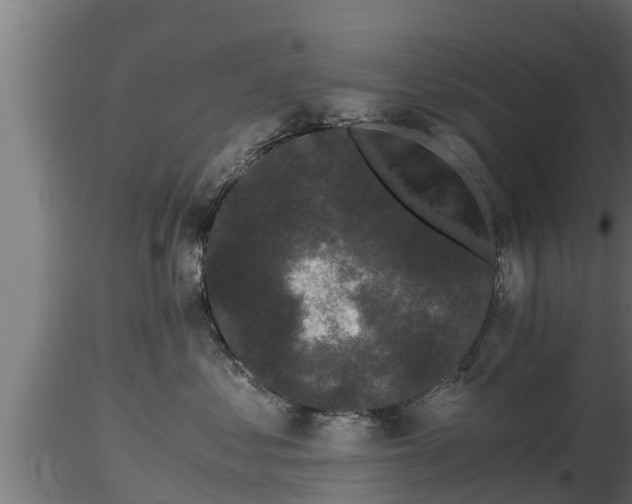 X0000116760621200912241144