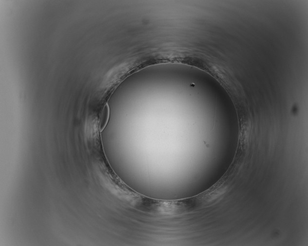 X0000116760623200912241144