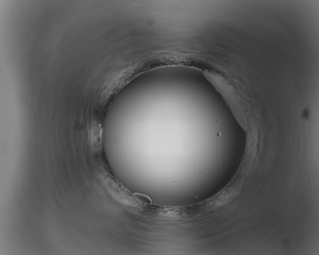 X0000116760624200912241144