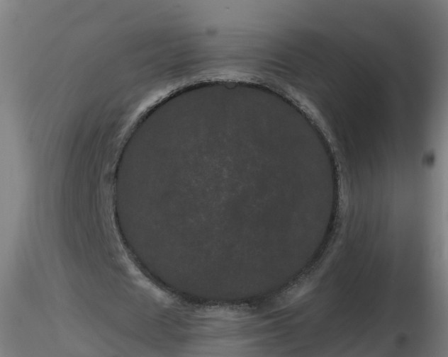 X0000116760625200912241143
