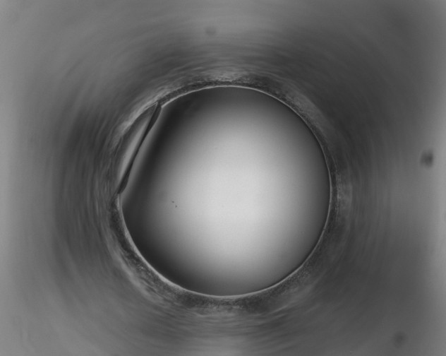 X0000116760626200912241143