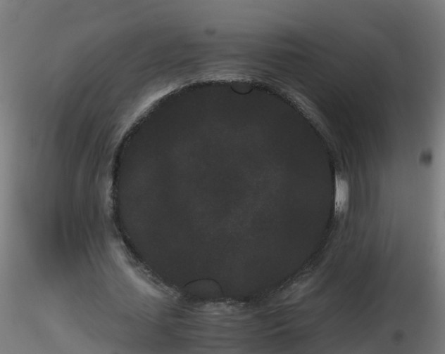 X0000116760627200912241143