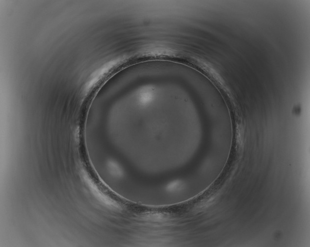 X0000116760629200912241143
