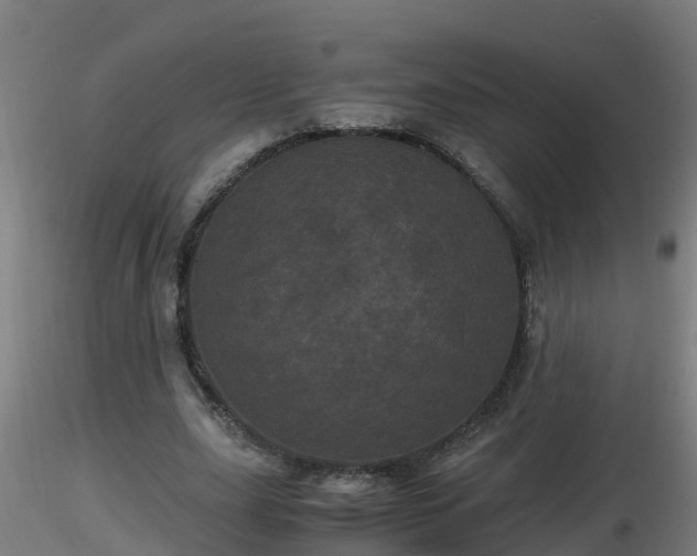 X0000116760631200912241143