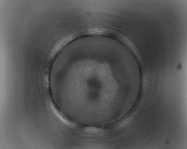 X0000116760633200912241143
