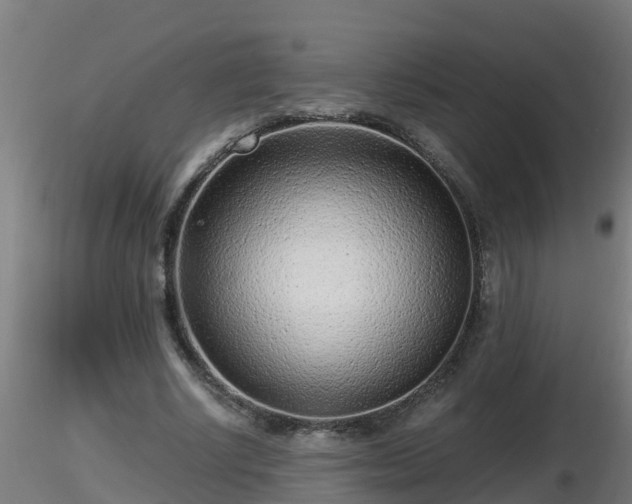 X0000116760634200912241143