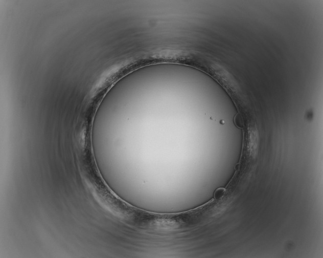 X0000116760636200912241143