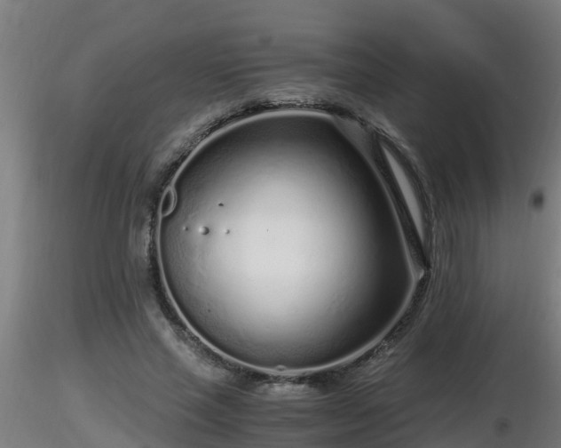 X0000116760637200912241143