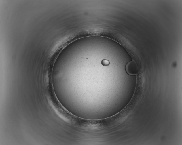 X0000116760638200912241143