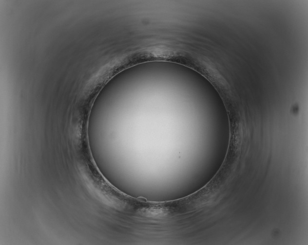X0000116760639200912241143