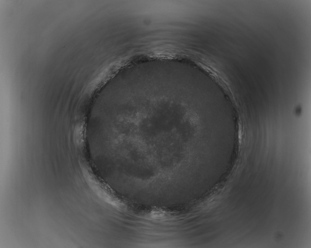X0000116760641200912241143
