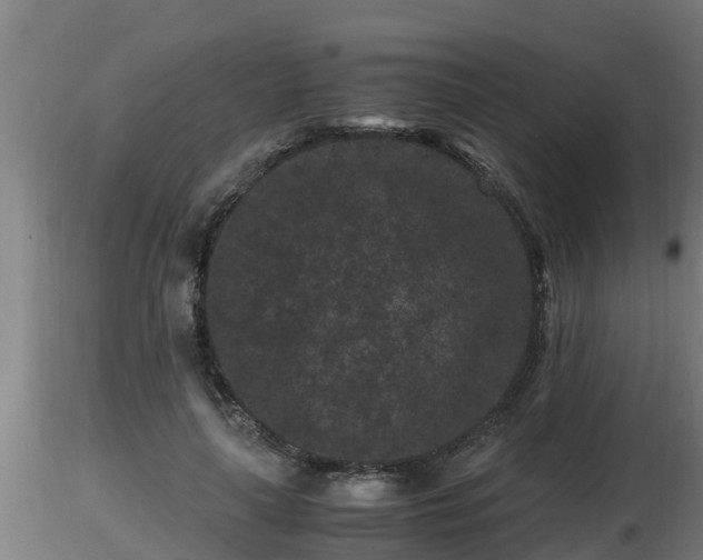 X0000116760643200912241143