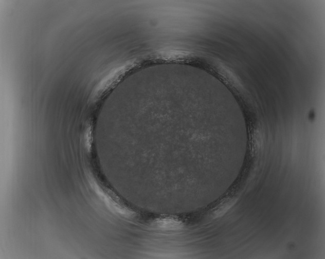 X0000116760644200912241143