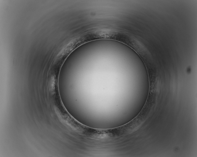 X0000116760646200912241143