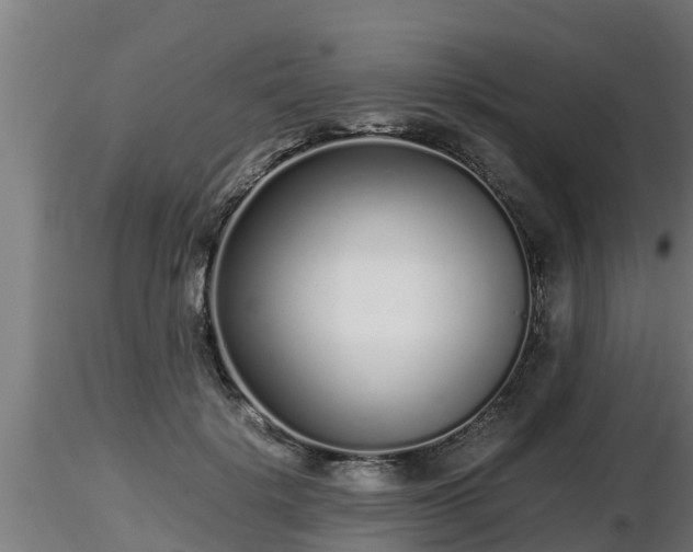 X0000116760652200912241143