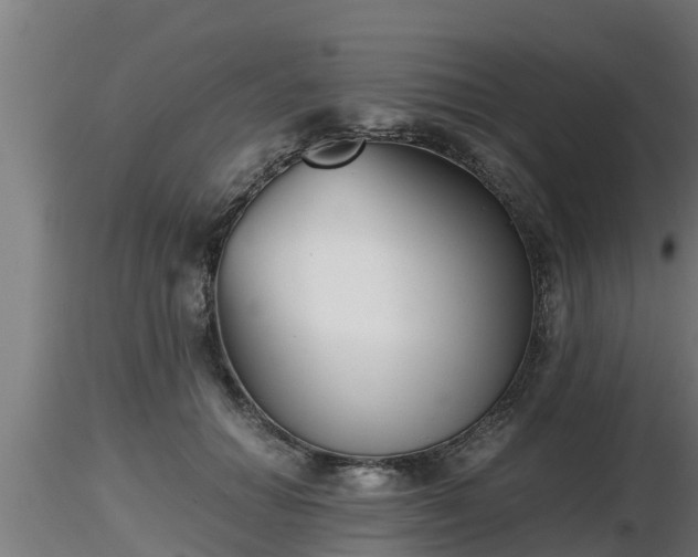 X0000116760654200912241143