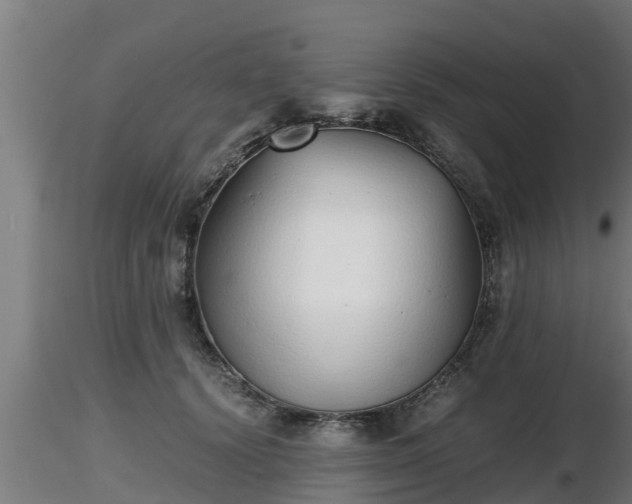 X0000116760656200912241143