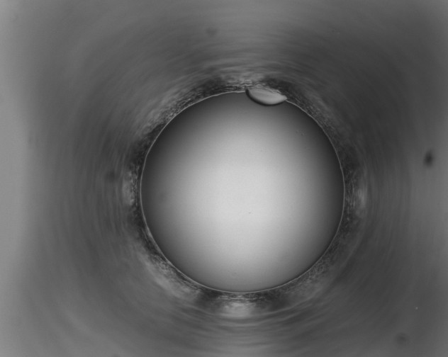 X0000116760658200912241143