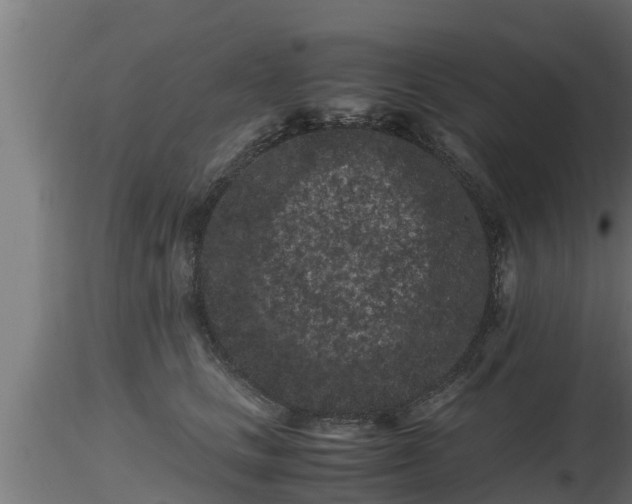 X0000116760661200912241143