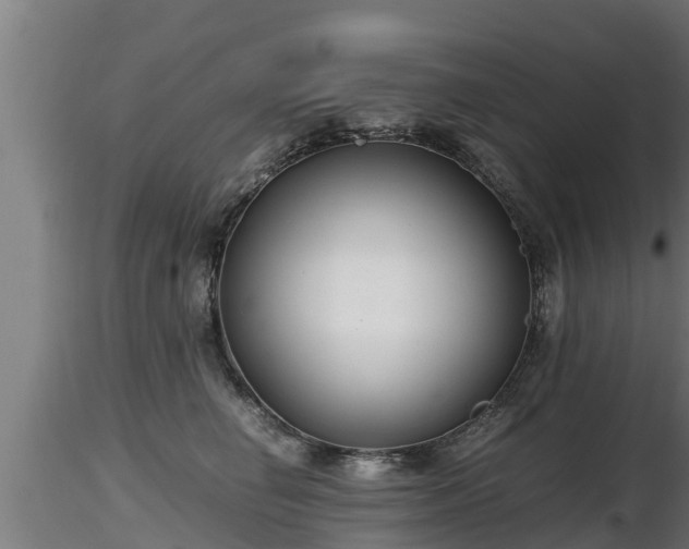 X0000116760662200912241143