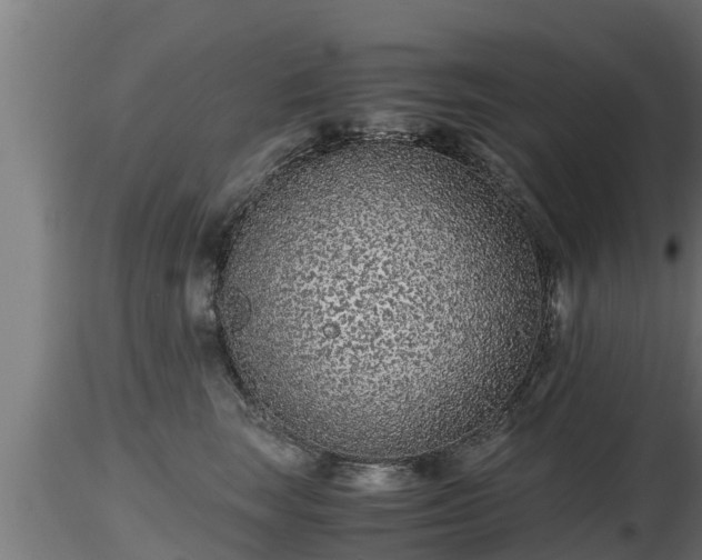 X0000116760663200912241143