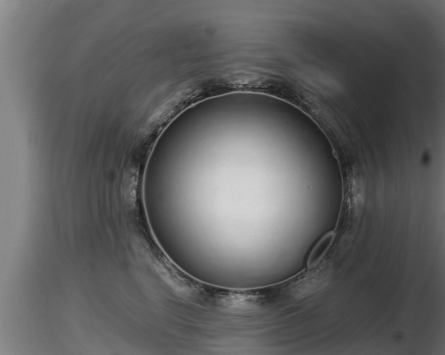 X0000116760664200912241143