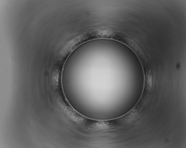 X0000116760668200912241143