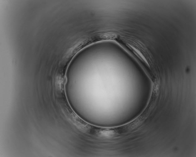 X0000116760669200912241144