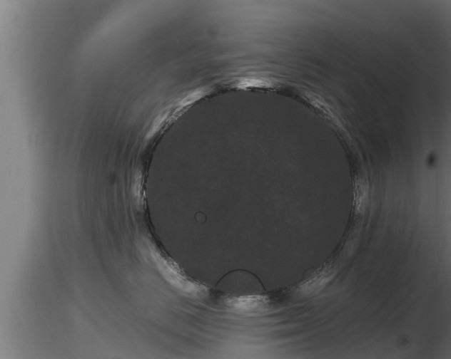 X0000116760670200912241144