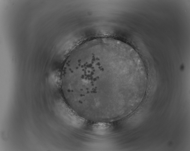 X0000116760672200912241144