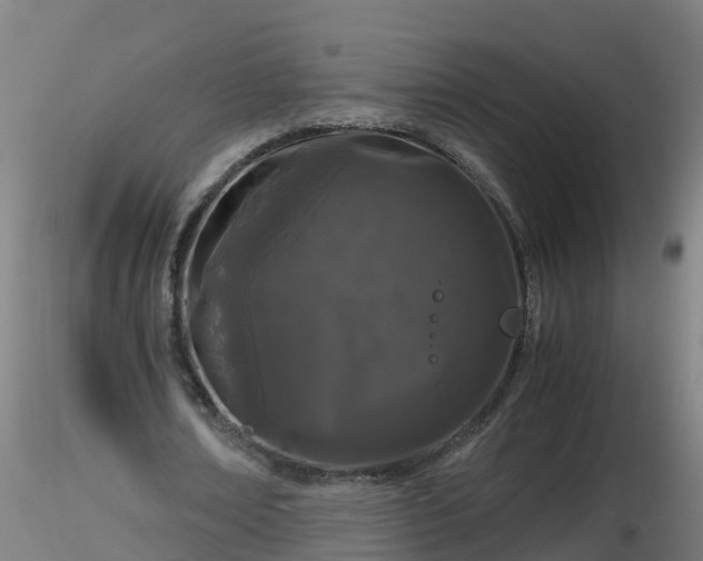 X0000116760674200912241143