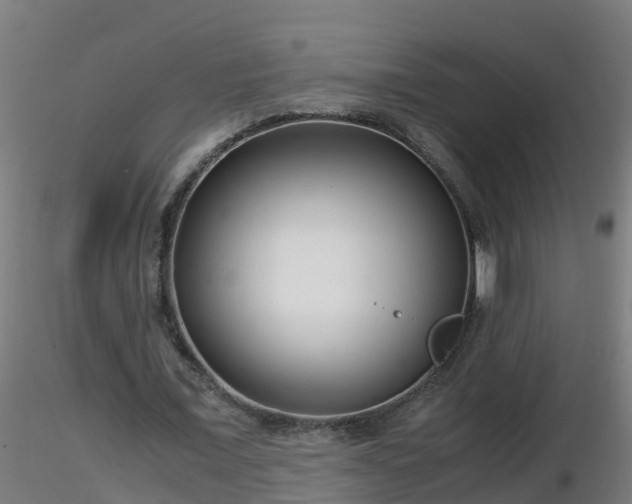 X0000116760675200912241143