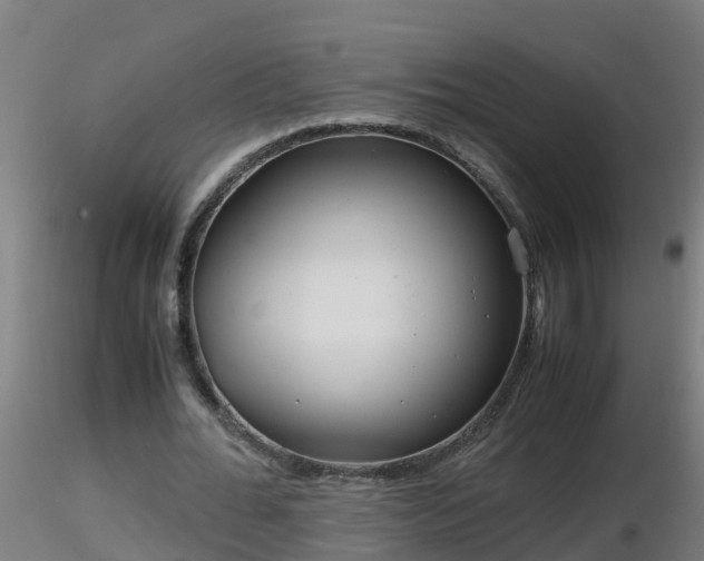 X0000116760676200912241143
