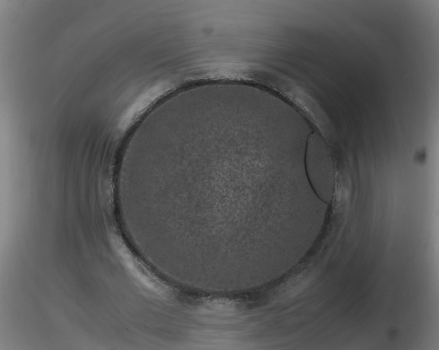X0000116760677200912241143