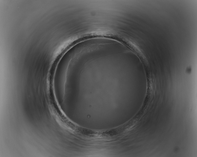X0000116760678200912241143