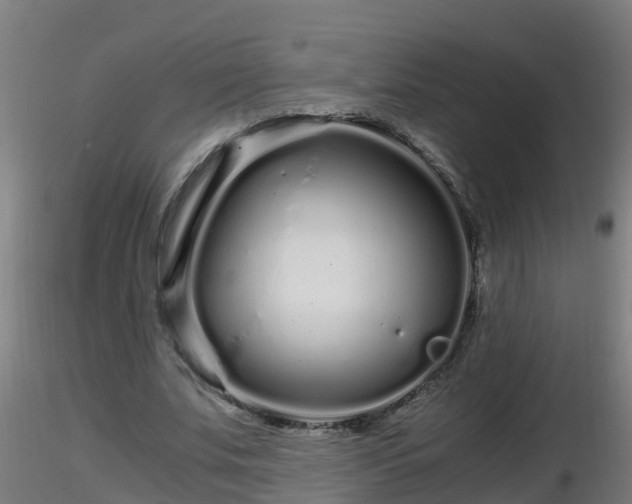 X0000116760679200912241143