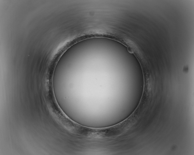 X0000116760680200912241143