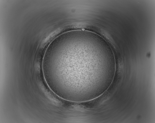 X0000116760681200912241143