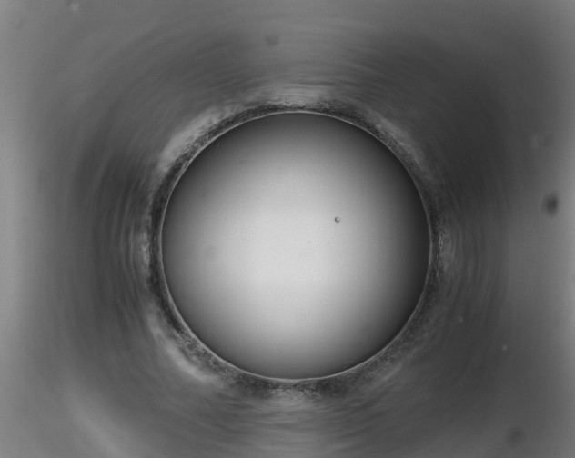 X0000116760682200912241143