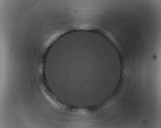 X0000116760683200912241143