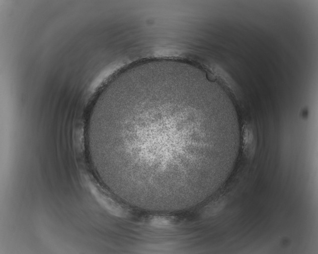 X0000116760684200912241143