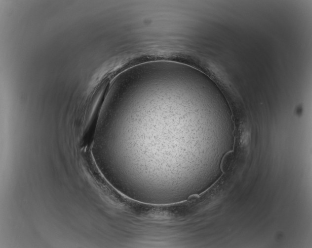 X0000116760685200912241143
