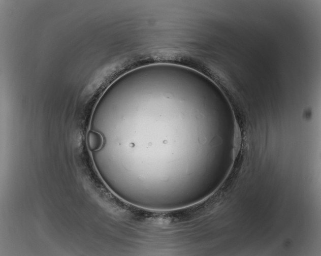 X0000116760687200912241143