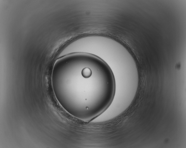 X0000116760688200912241143
