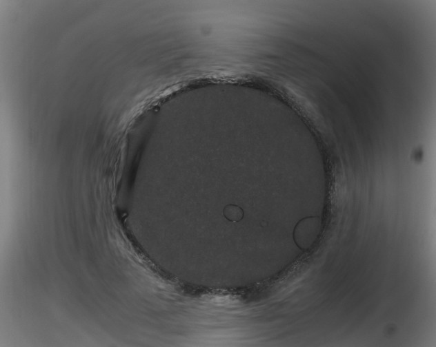 X0000116760689200912241143