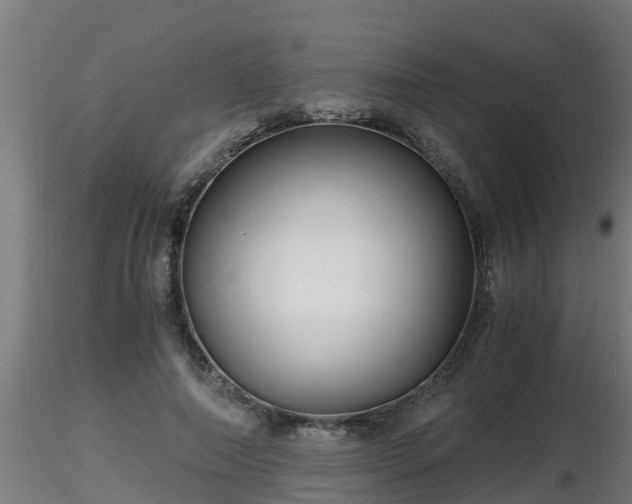 X0000116760690200912241143