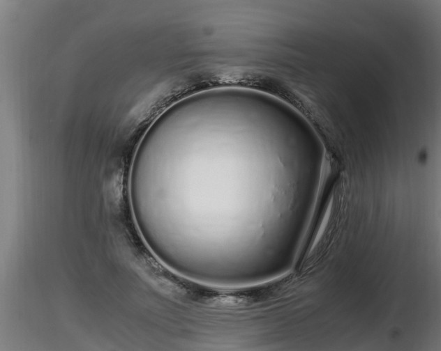 X0000116760691200912241143