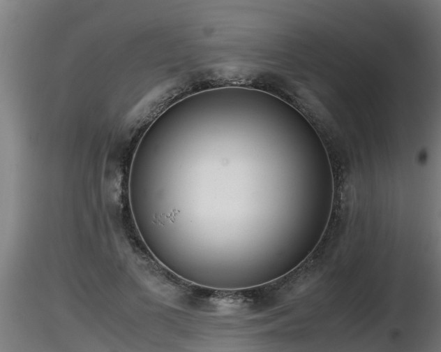 X0000116760693200912241143